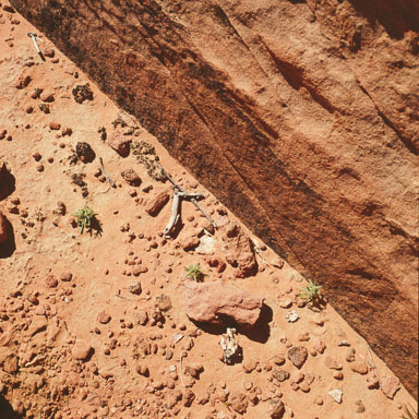 Valley of Fire 1980